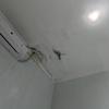 Thumb img20261031102949