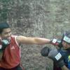 Sejasa.com