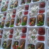 Sejasa.com