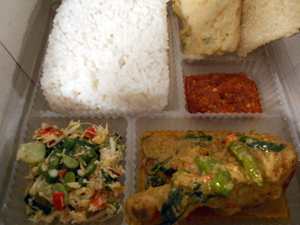 Nasi ayamtuturuga