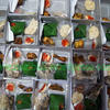 Sejasa.com