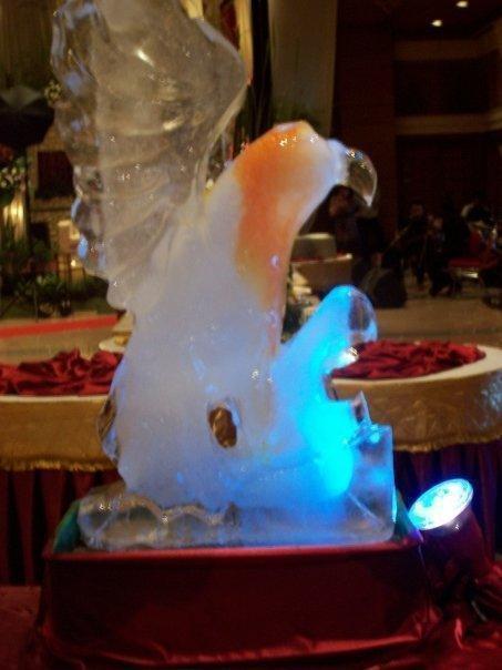 10398710 105301173252 131882 n