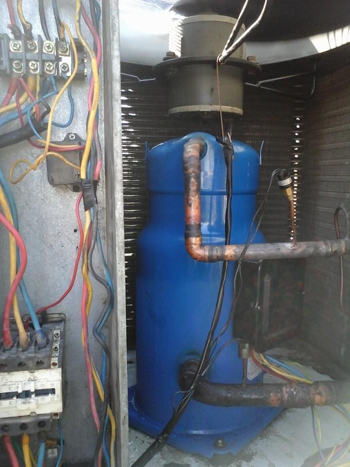 22693 1060132217347494 8708406862969289725 n