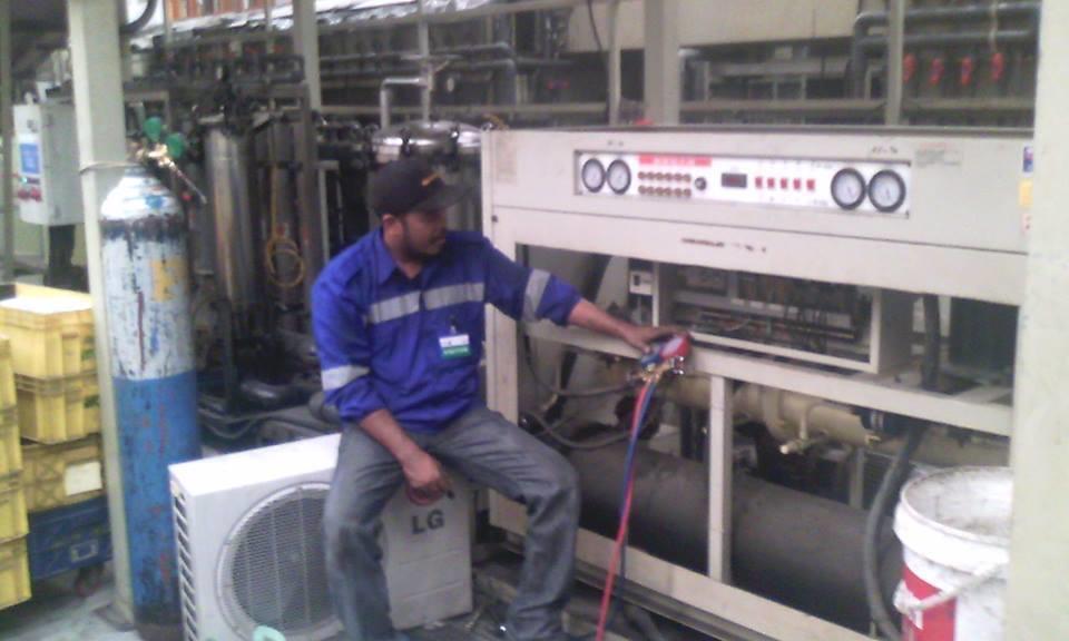 12523103 1231845060176208 8294499702576240819 n