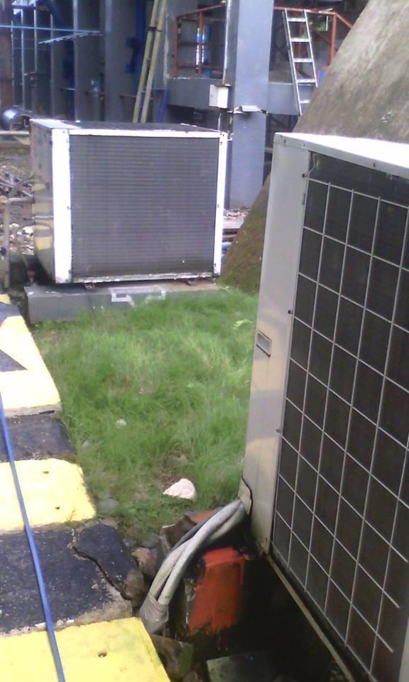 12573784 1235939856433395 3693198236121411658 n