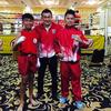 Sejasa.com