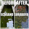 Sejasa.com