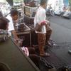 Sejasa.com