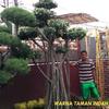 Sejasa.com
