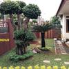 Sejasa.com