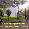 Sejasa.com
