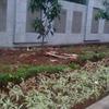 Sejasa.com
