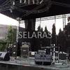 Sejasa.com