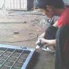Sejasa.com