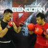 Sejasa.com