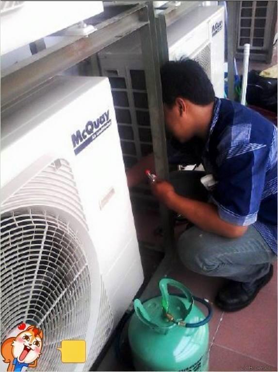 11162193 1429961590651774 8436488724547287218 n