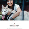 Sejasa.com