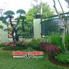Sejasa.com