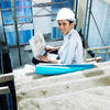 Sejasa.com