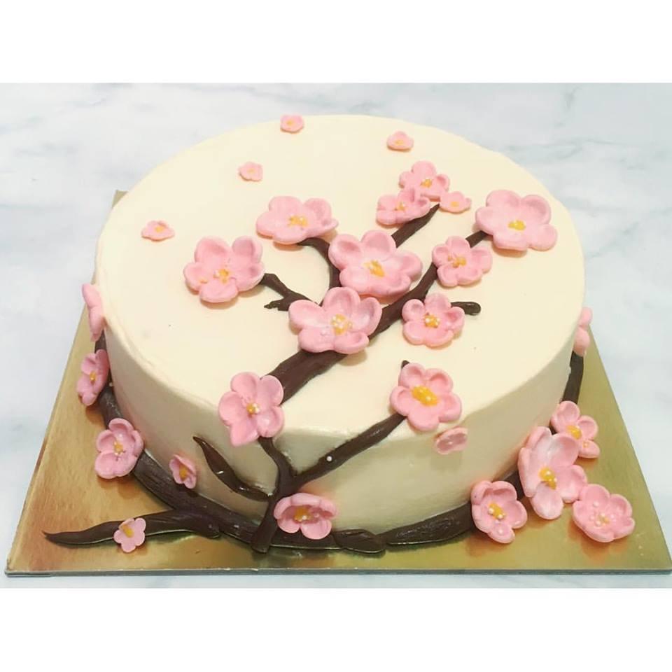 13265914 1353338688015591 7981977301425885297 n