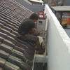 Sejasa.com