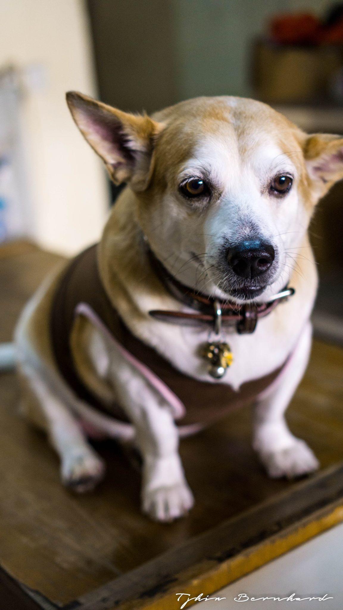 13268276 10153744524936896 518022730322757169 o