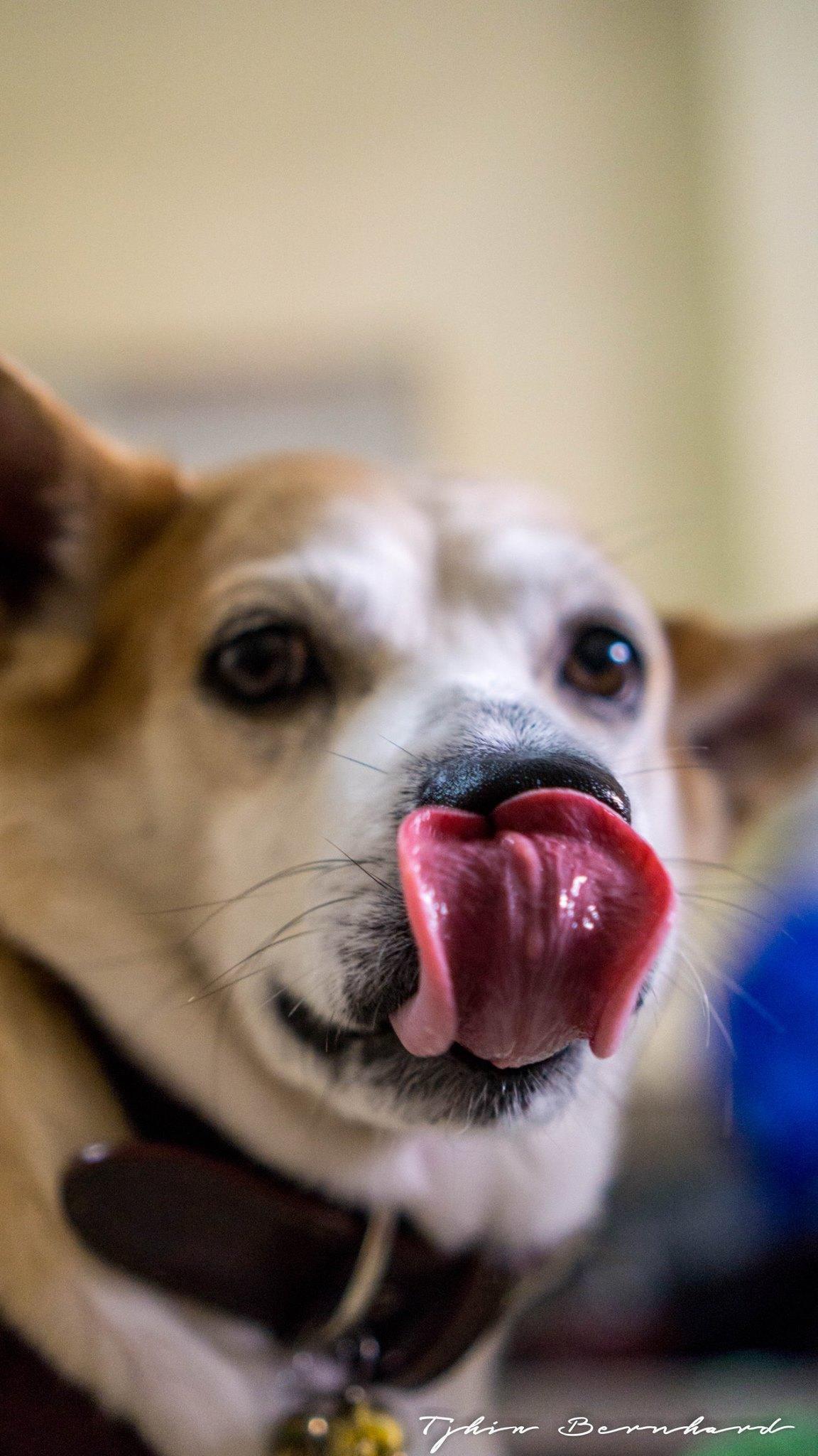 13301472 10153744526676896 7540758823955229993 o