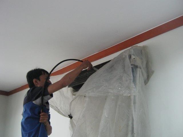 Img 1294