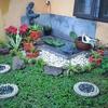Sejasa.com