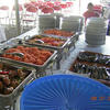 Sejasa.com