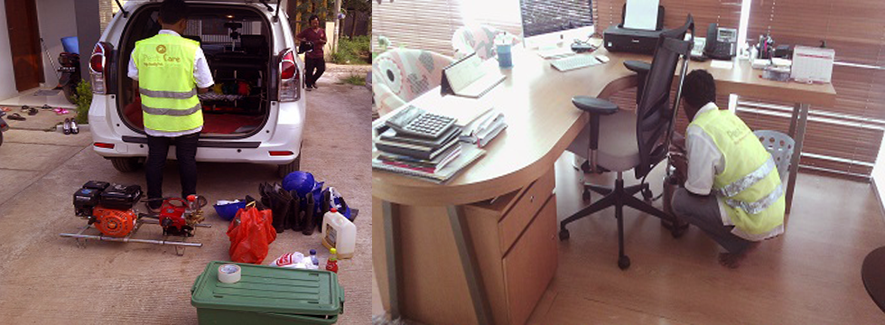 Pest care jabodetabek