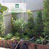 Sejasa.com