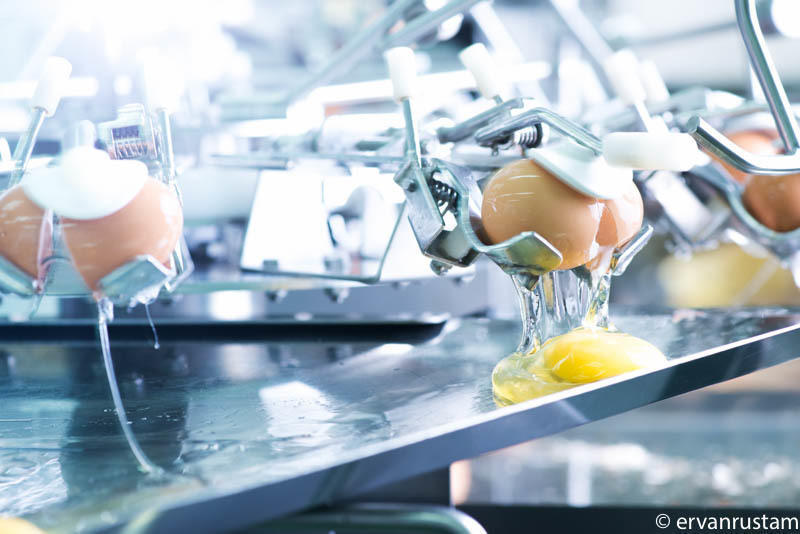 Intan kenko mayo 1  corporate photographer