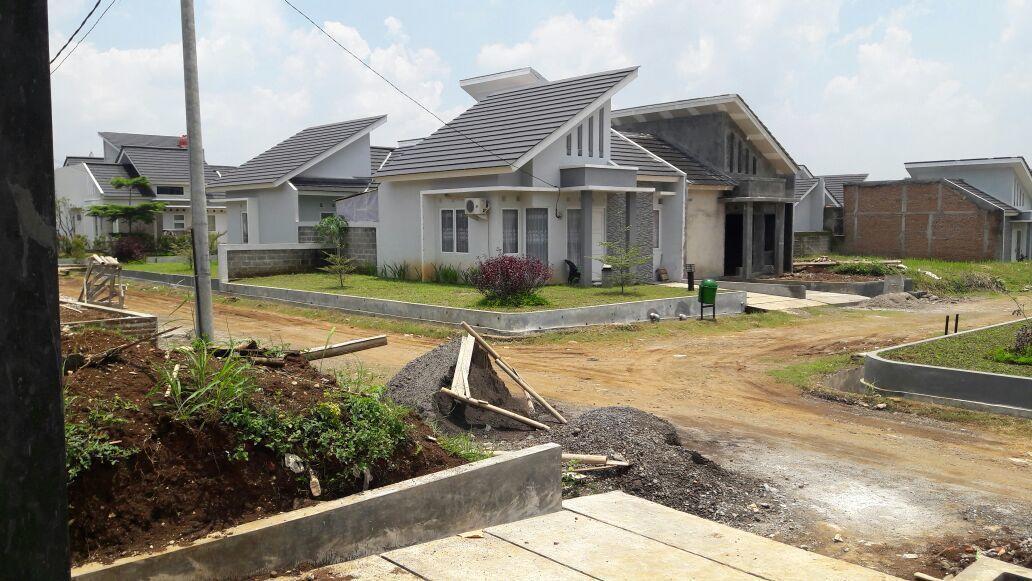 Foto usaha pak frans cv synchronize 