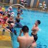 Sejasa.com