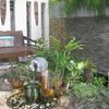 Sejasa.com