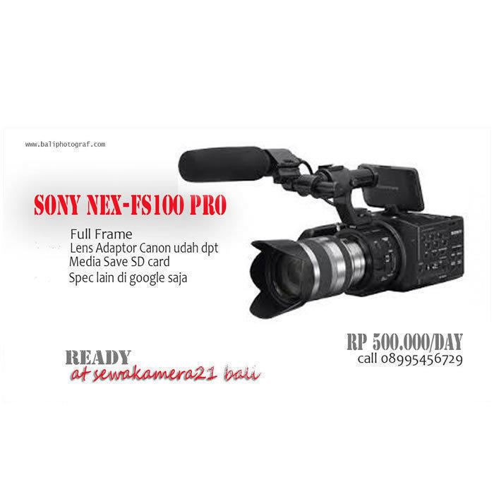 Sony nex fx100