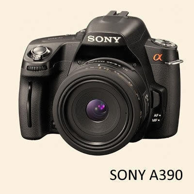Sonya390