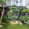 Sejasa.com