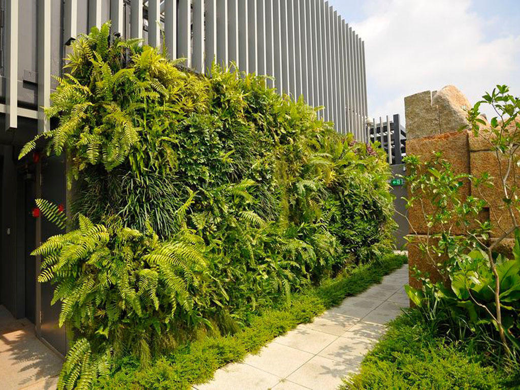4 pertimbangan membuat taman vertikal