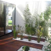 Sejasa.com