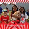 Sejasa.com