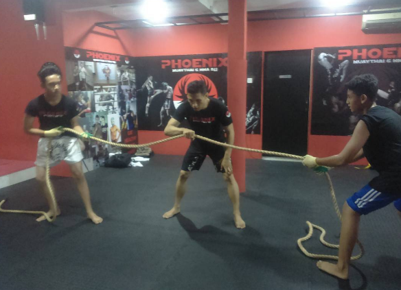 Fireshot capture 107   phoenix training camp bekasi on i    https   www.instagram.com p bj2drx0hdbp 