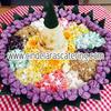 Sejasa.com