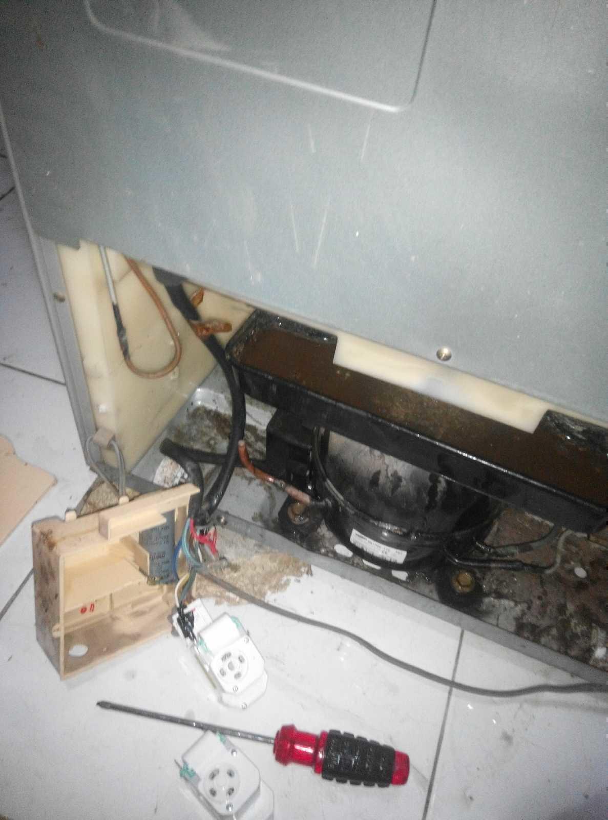 Img 20160915 0935271474036761252