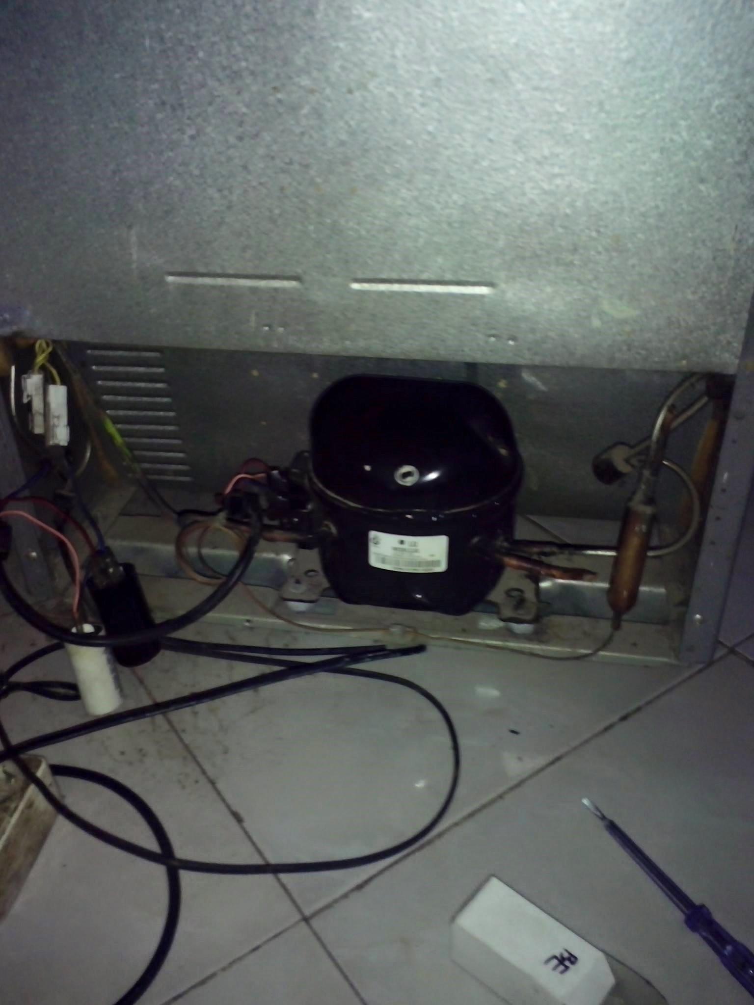 12248168 1028966937166073 2434461693062794404 o