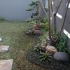 Sejasa.com