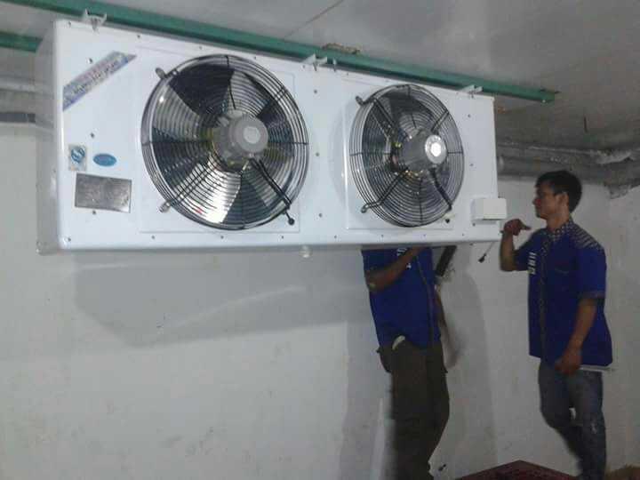 Fb img 14757445176931475760124162