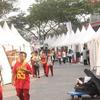 Sejasa.com