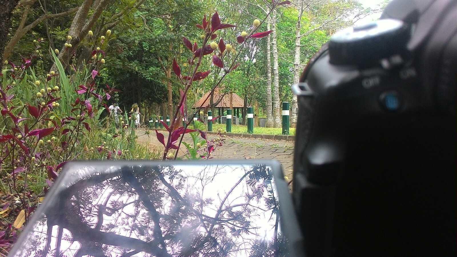 P 20161001 1444321476976129561